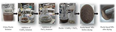 Pectin functionalized with Cu/Fe nanoparticles for enhanced degradation of methylene blue from wastewater